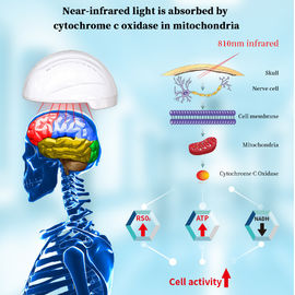 810 نانومتر محلل الصحية آلة التحفيز المغناطيسي عبر الجمجمة Neurofeedback